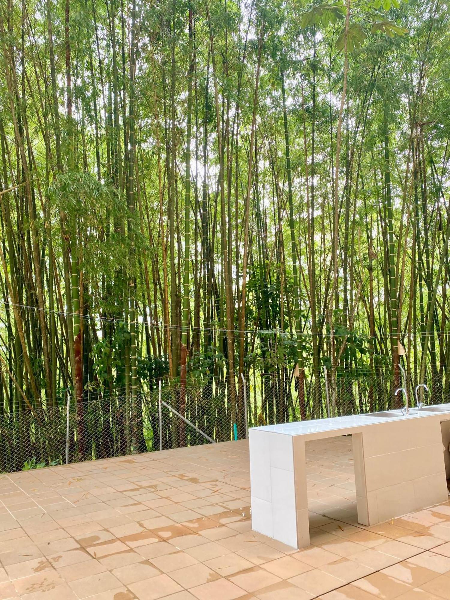 Hermoso En El Quindio